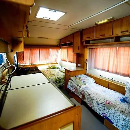Κάμπινγκ Camping 2 Mai - Cazare La Plaja